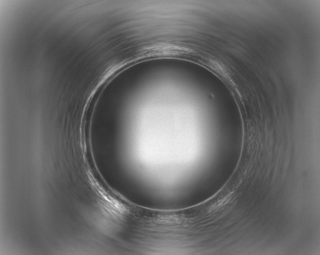 X0000060270843200510281229