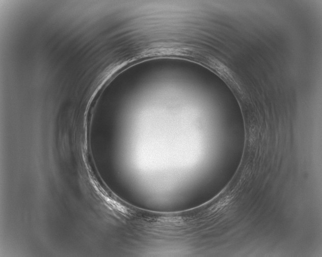 X0000060270844200510281229