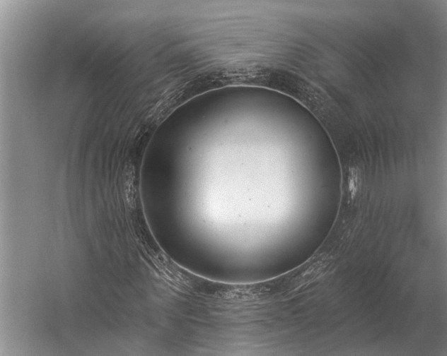 X0000060270867200510281229