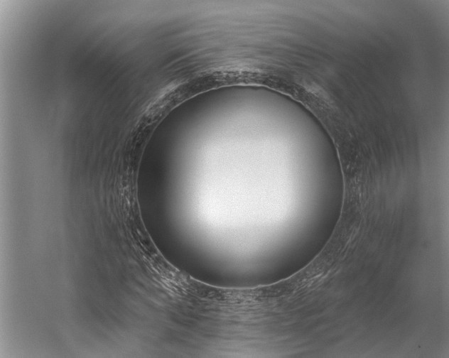 X0000060270870200510281229