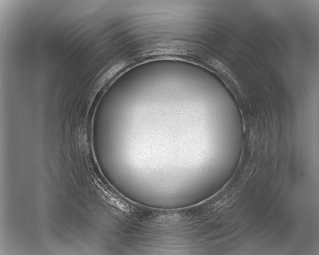 X0000060270882200510281229