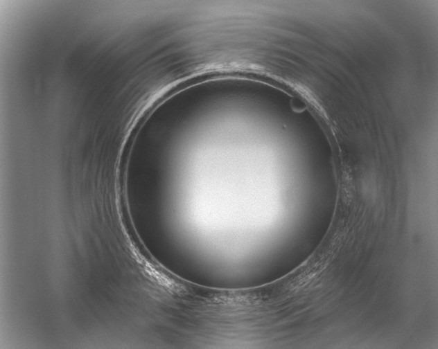 X0000060270895200510281228