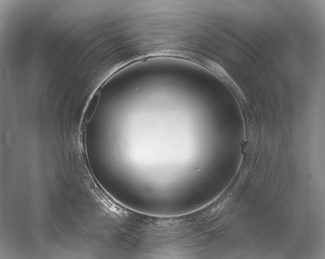 X0000060270908200510281228