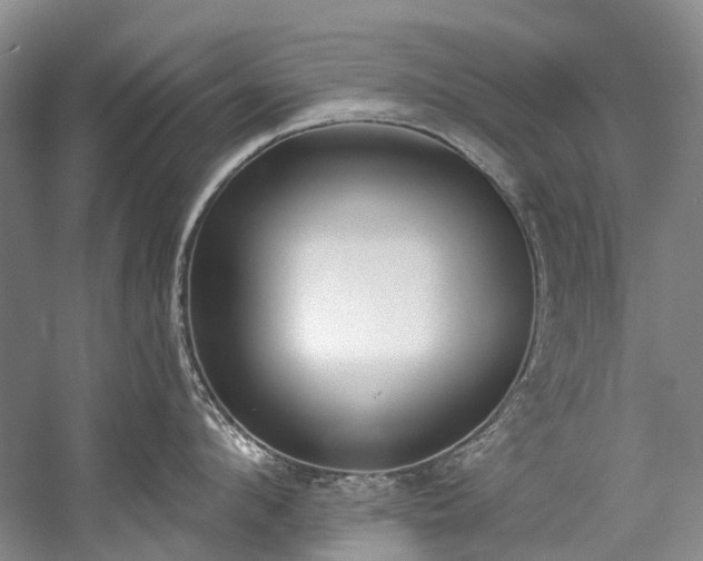 X0000060270912200510281228