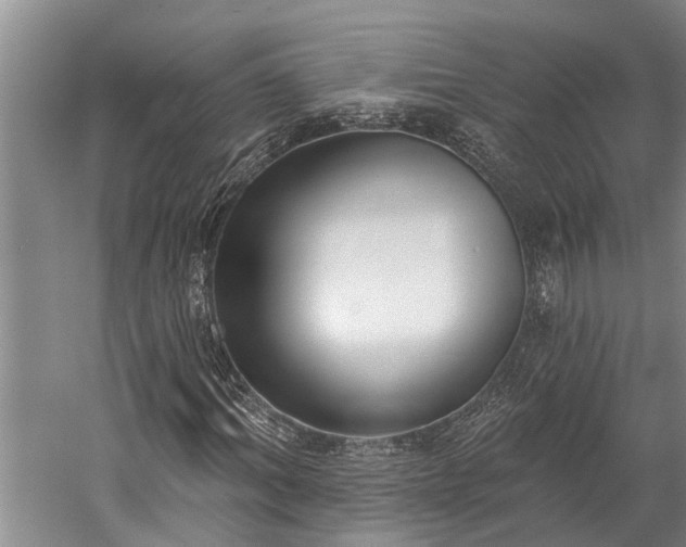 X0000060270964200510281227