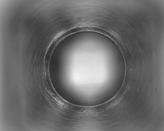 X0000060270974200510281227