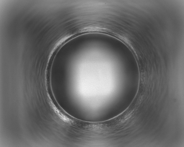 X0000060270995200510281227