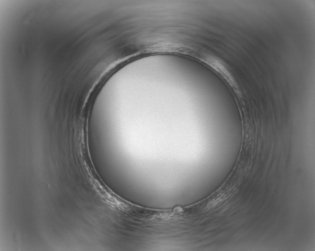 X0000060271000200510281227