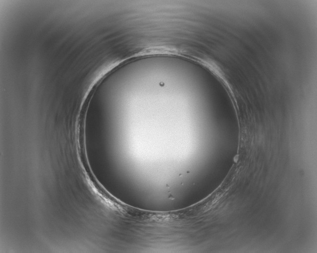 X0000060271003200510281227