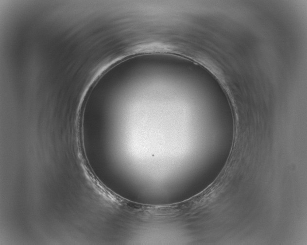 X0000060271008200510281227