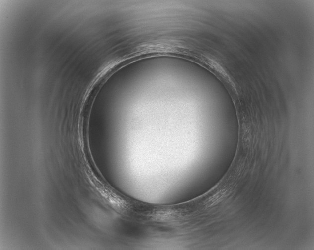 X0000060271035200510281226