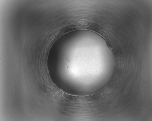X0000060271057200510281226