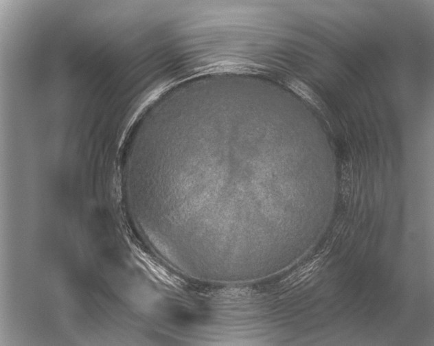 X0000060271067200510281226