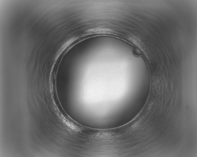 X0000060271082200510281225