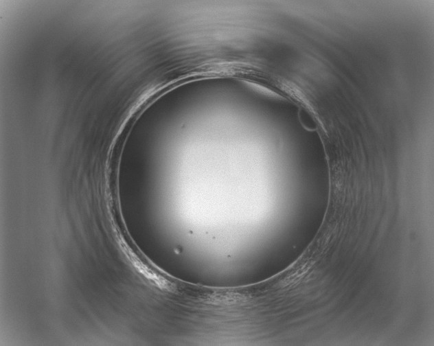 X0000060271091200510281225
