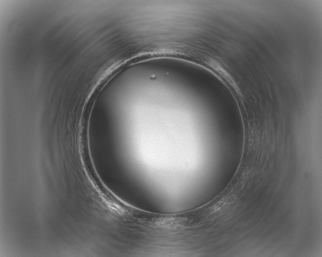 X0000060271093200510281225