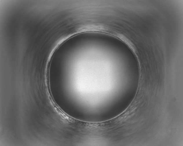 X0000060271104200510281225