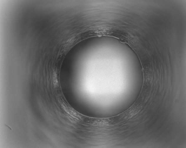 X0000060271106200510281224