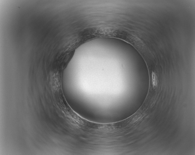 X0000060271107200510281224