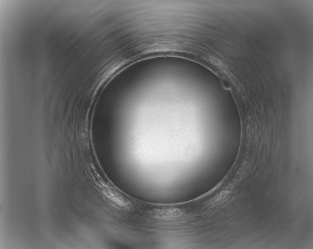 X0000060271129200510281225