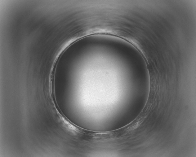 X0000060271151200510281225