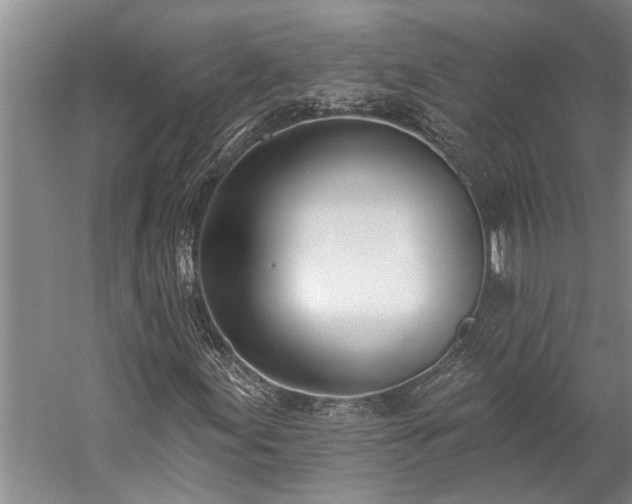 X0000060271155200510281224