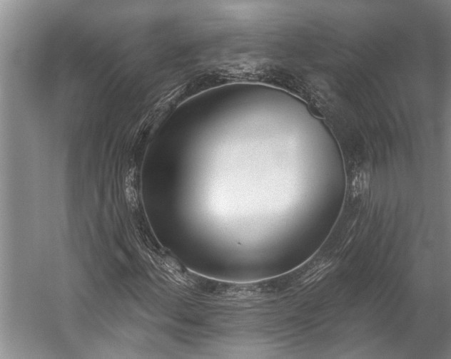 X0000060271156200510281224