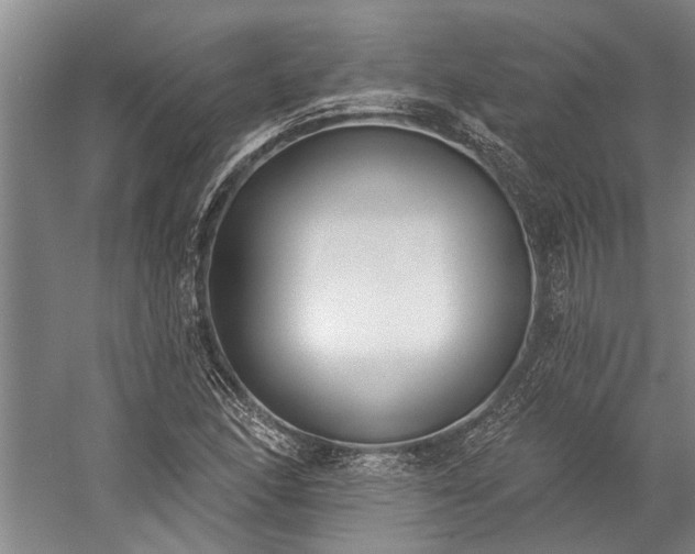 X0000060271166200510281224