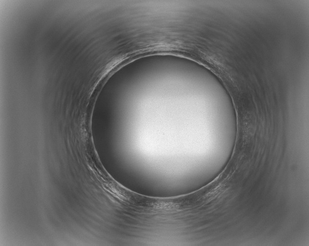 X0000060271170200510281224