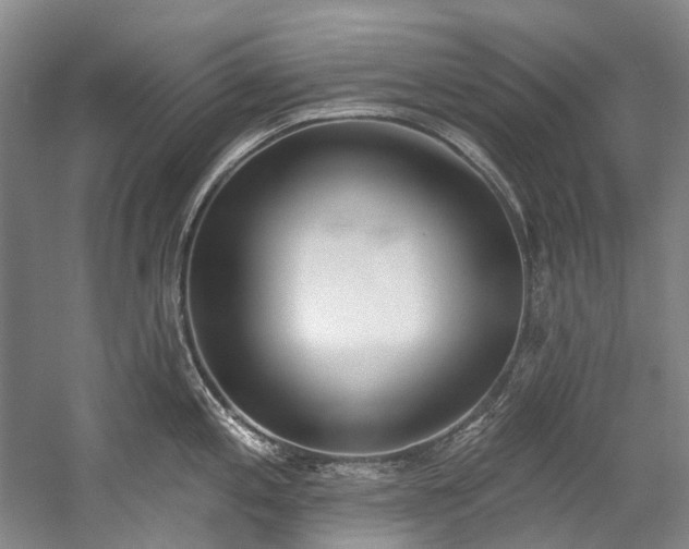 X0000060271197200510281223