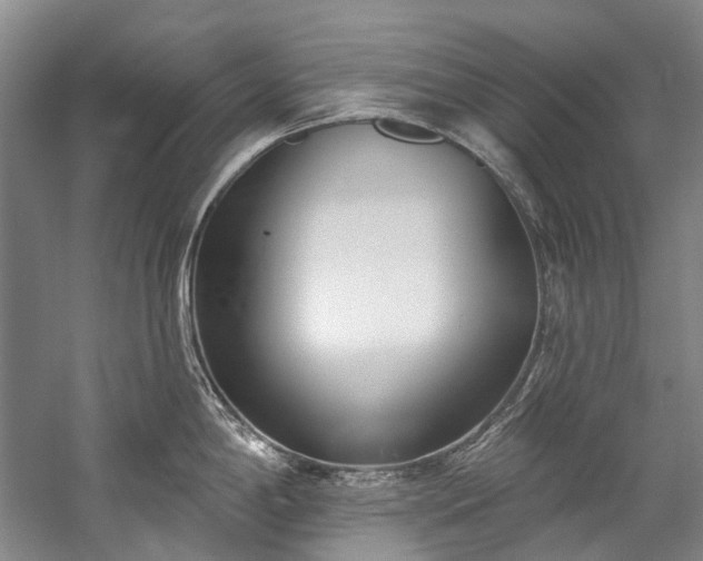X0000060271198200510281223