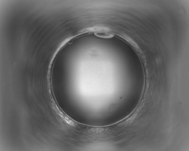 X0000060271248200510281223