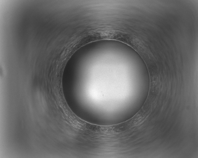 X0000060271249200510281222