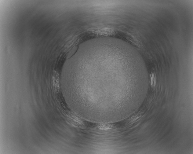 X0000060271251200510281222