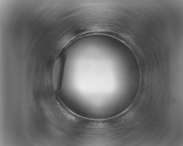 X0000060271273200510281222
