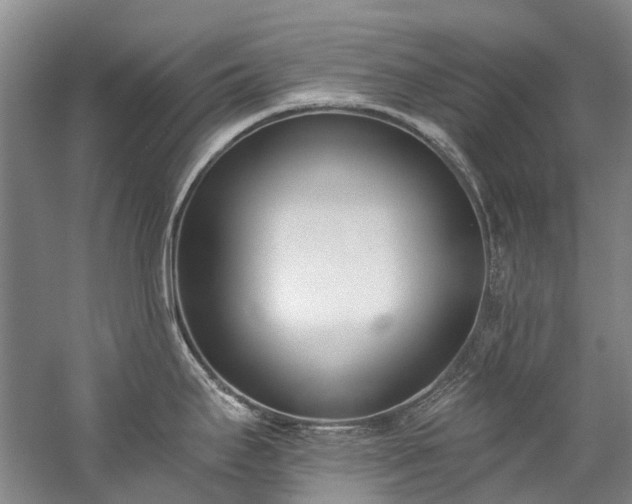 X0000060271295200510281222