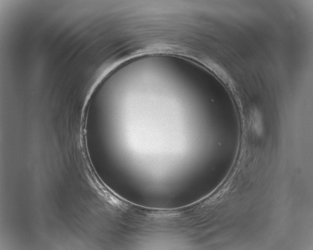 X0000060271296200510281222