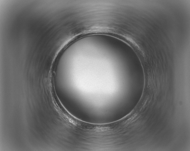 X0000060271325200510281221