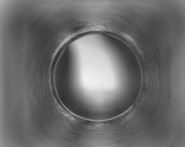 X0000060271326200510281221