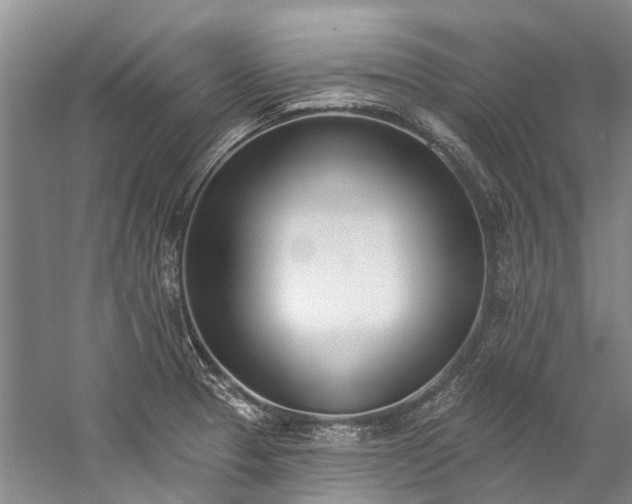 X0000060271329200510281221