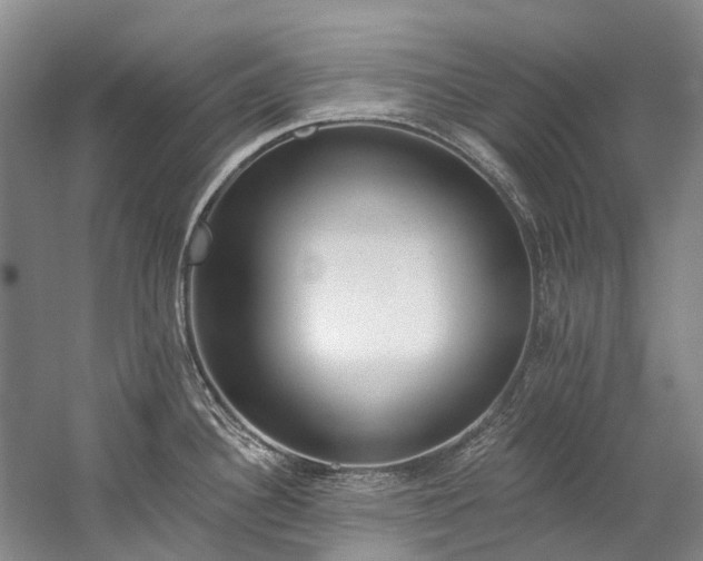 X0000060271340200510281222