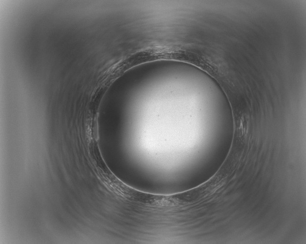 X0000060271348200510281221