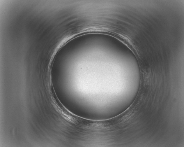 X0000060271371200510281220