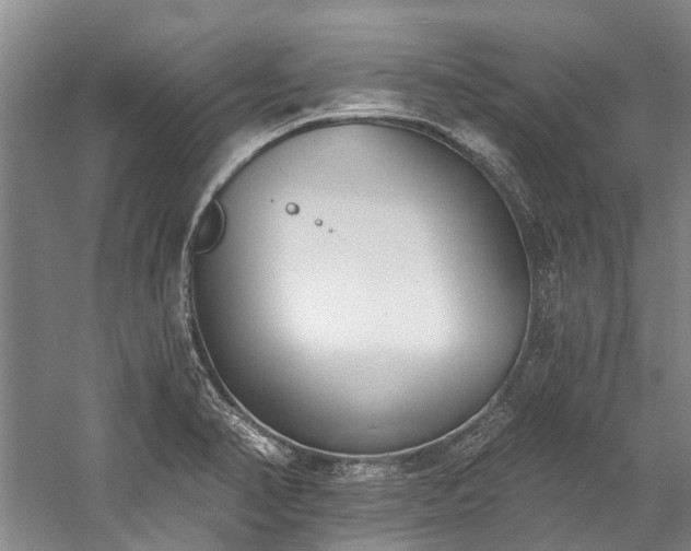 X0000060271374200510281220