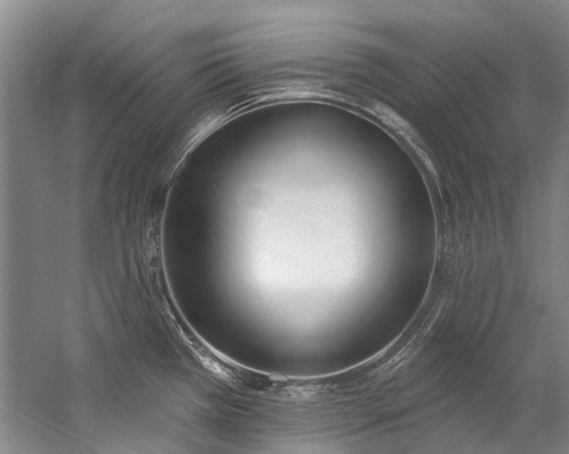 X0000060271385200510281220