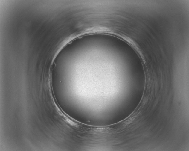 X0000060271390200510281220