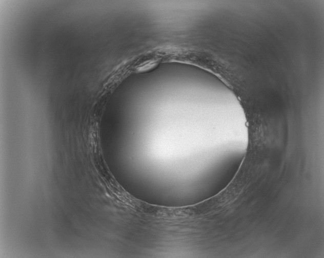 X0000060271397200510281219
