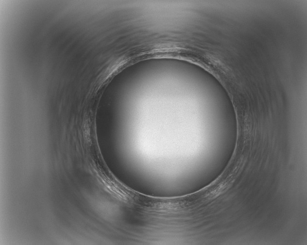 X0000060271401200510281219