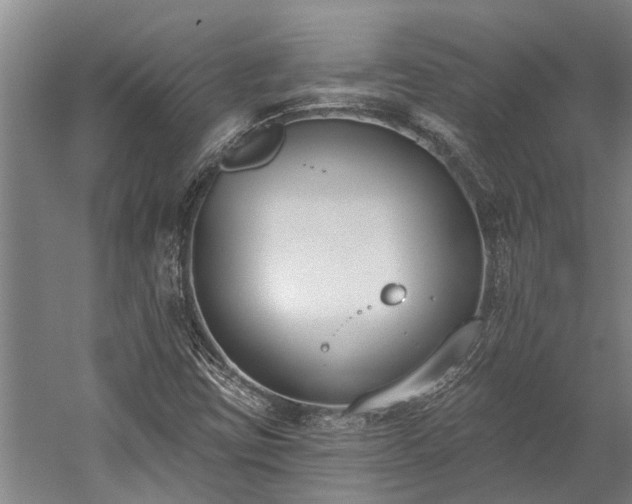 X0000060271403200510281219