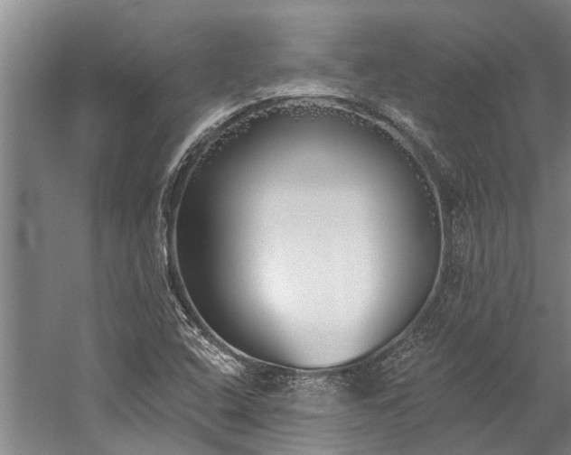 X0000060271408200510281219